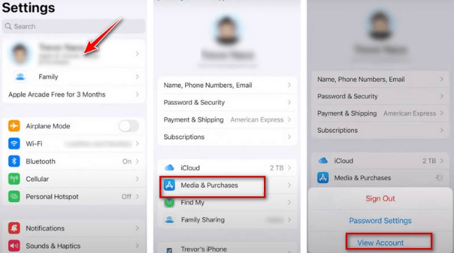 access iphone setting