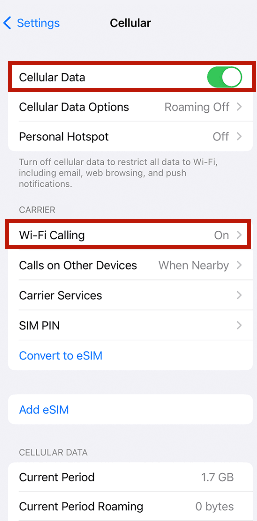 enable wifi and cellular data