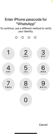 iPhone passcode verification for WhatsApp