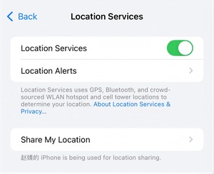 go to location services
