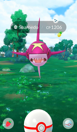 How to Get Mega Sharpedo