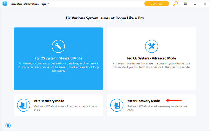 ios system repair enter recovery mode