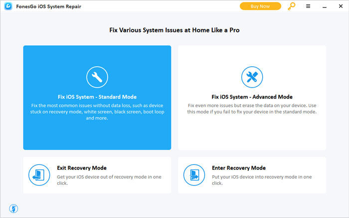 ios system repair interface
