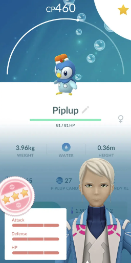 piplup raids