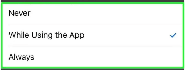 three options of safari websites