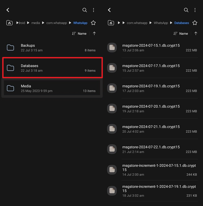 check the whatsapp databases folder