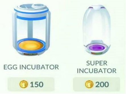 Use Timed Incubator Hatch Egg